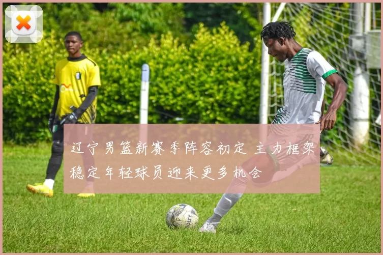 辽宁男篮新赛季阵容初定 主力框架稳定年轻球员迎来更多机会
