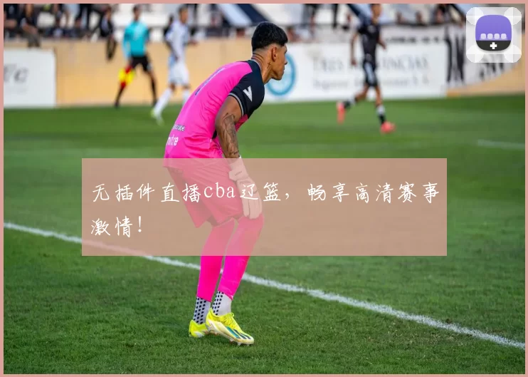 无插件直播cba辽篮，畅享高清赛事激情！