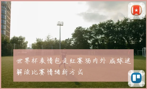 世界杯表情包走红赛场内外 成球迷解读比赛情绪新方式